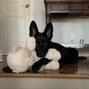 Meet your Posher, Briano